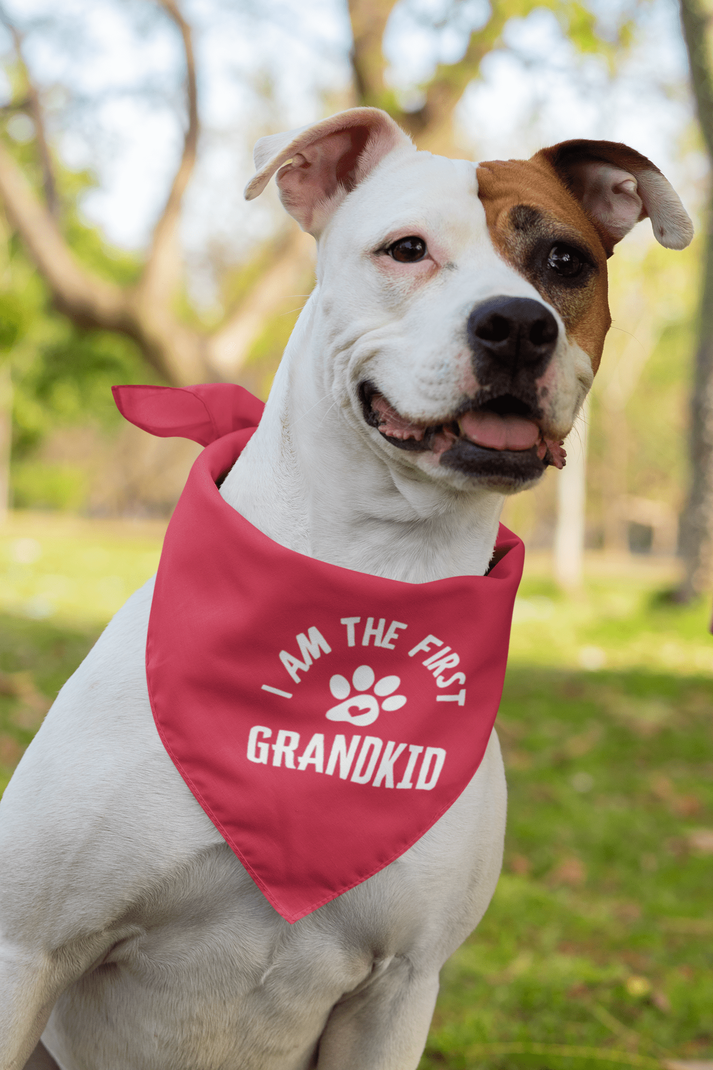 I Am the First Grandkid Pet Bandana - Billy