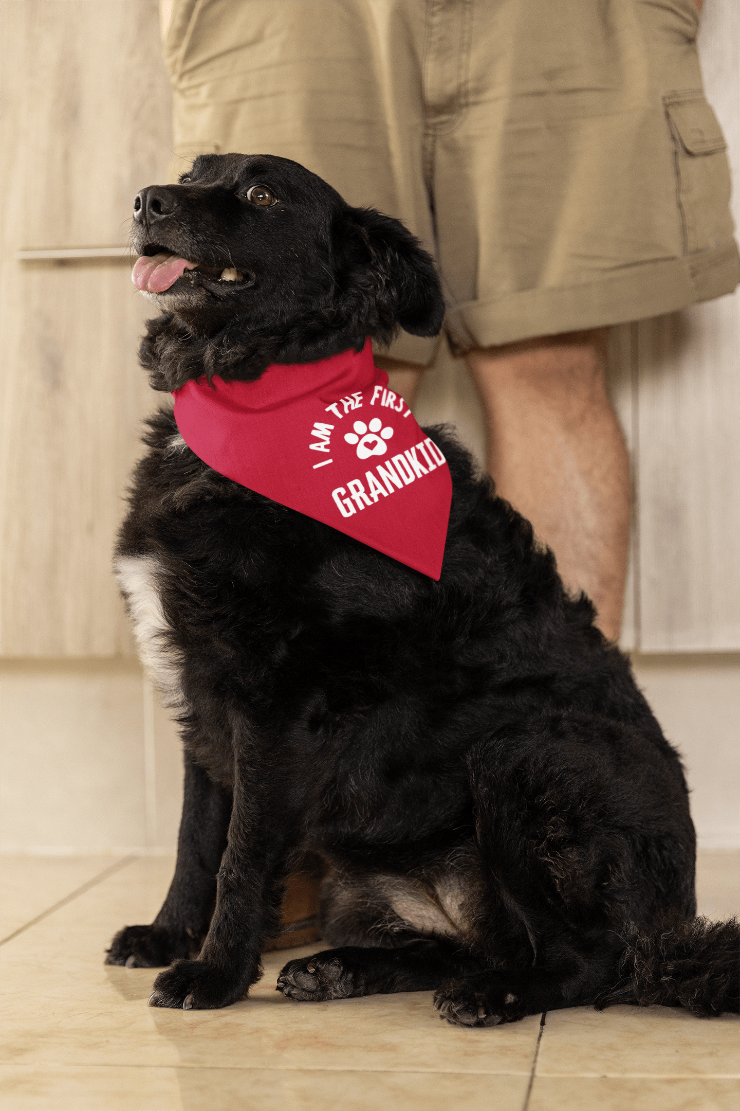 I Am the First Grandkid Pet Bandana - Billy