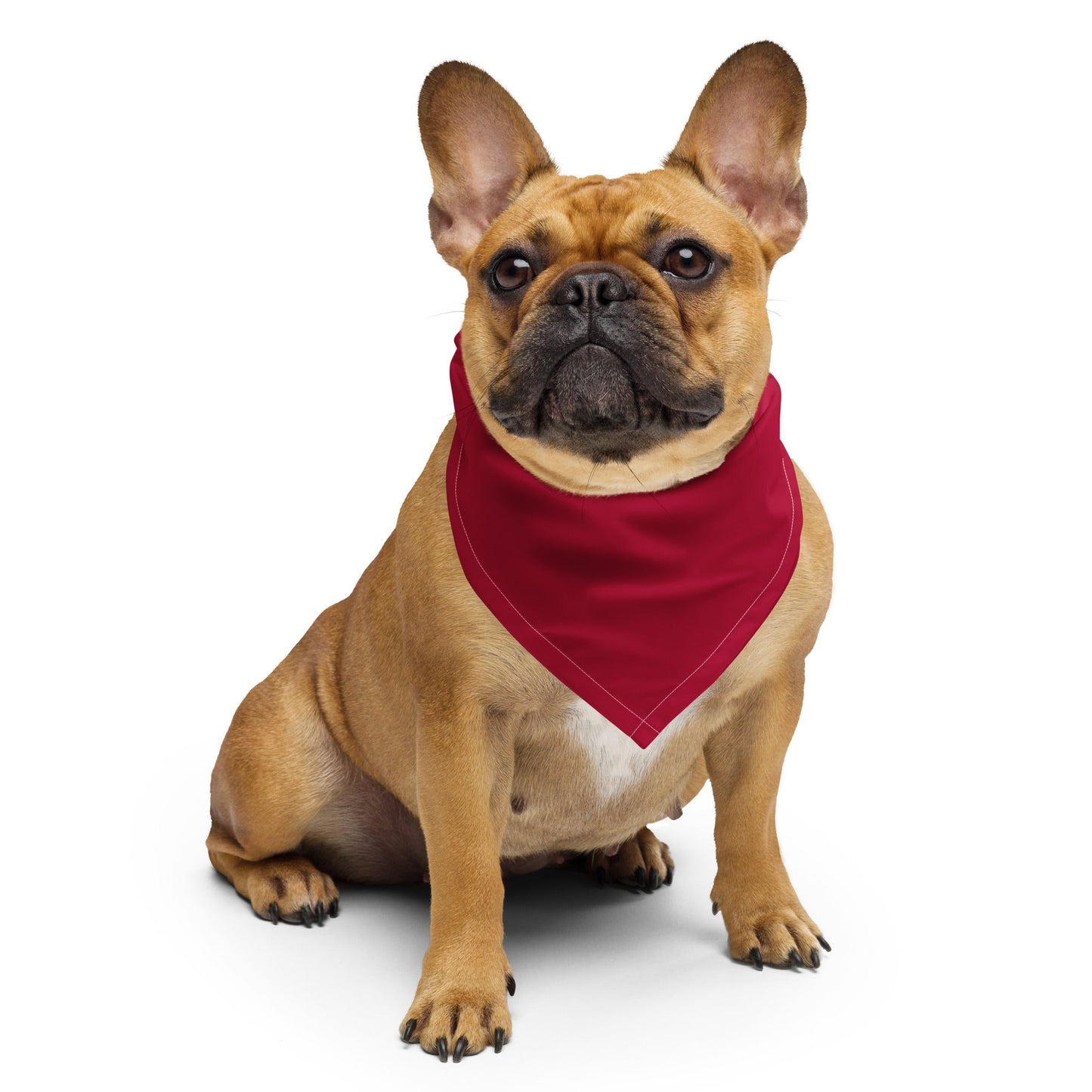 I Am the First Grandkid Pet Bandana - Billy