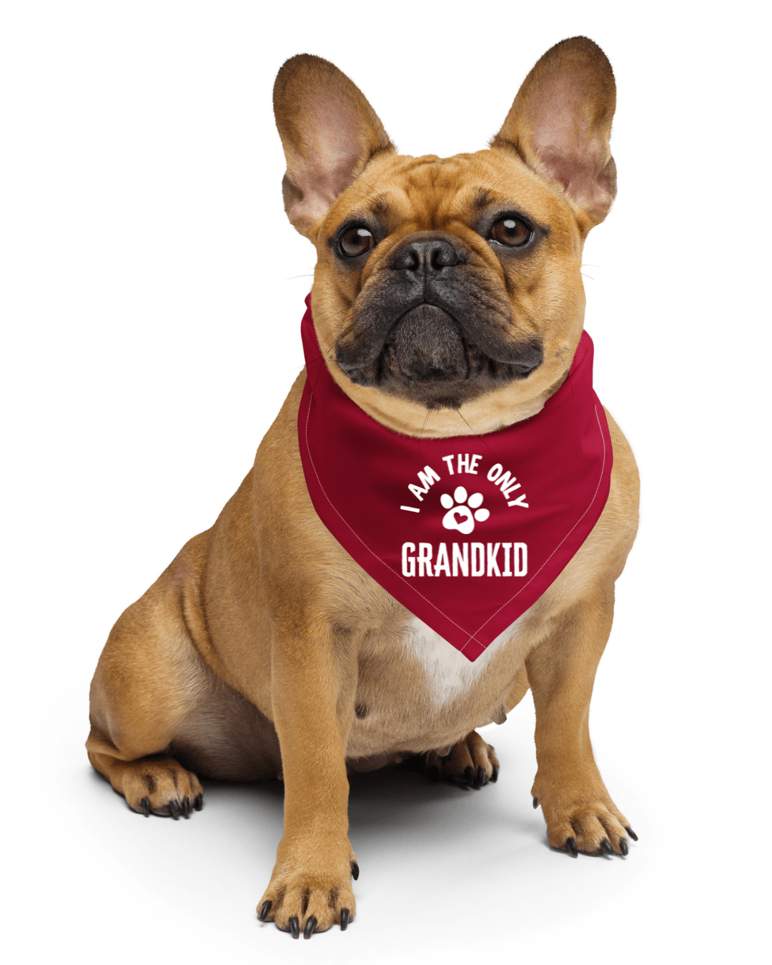 I Am The Only Grandkid - Pet Bandana - Billy
